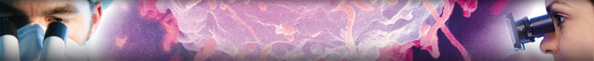 compare-stem-cells