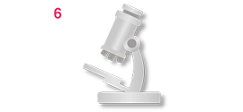 Magnifier
