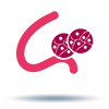 Cord tissue icon