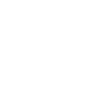 anaemia icon white