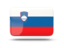 Slovenia flag