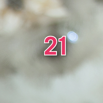 door-Day 21