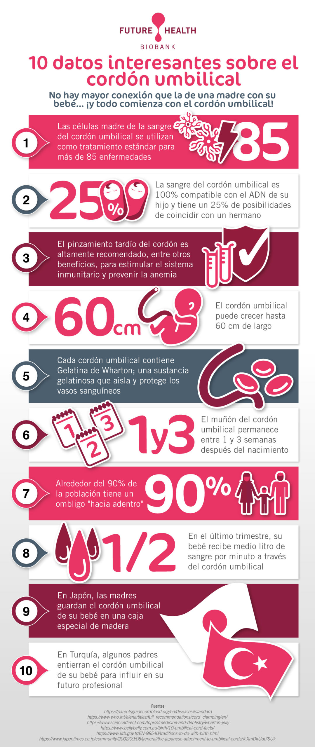 Infografía: 10 datos interesantes sobre el cordón umbilical