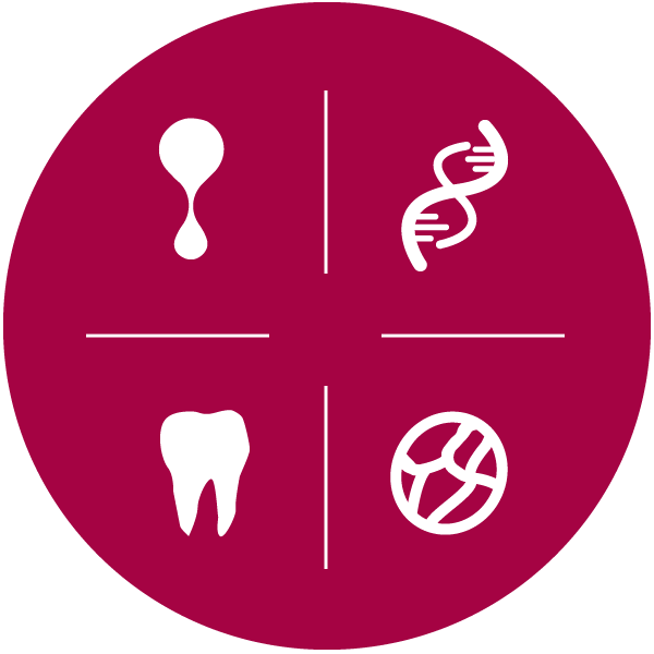 naše-uslige-icons
