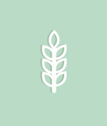 outlook_intolerances-coeliac-intolerance