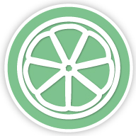 Segment of lemon icon
