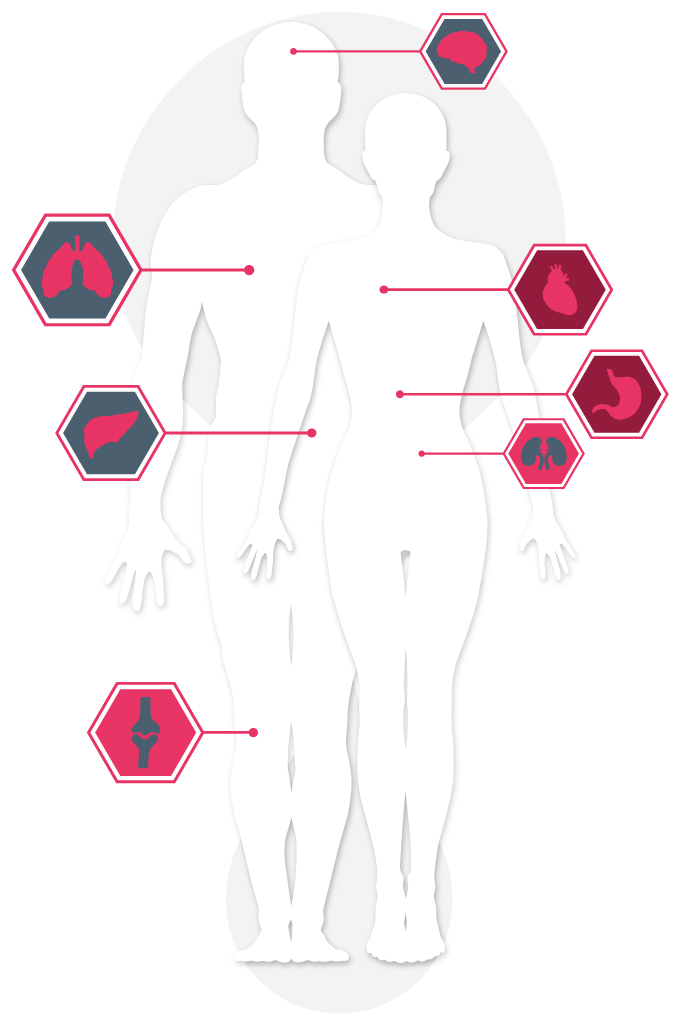 Areas of the human body that stem cells can treat