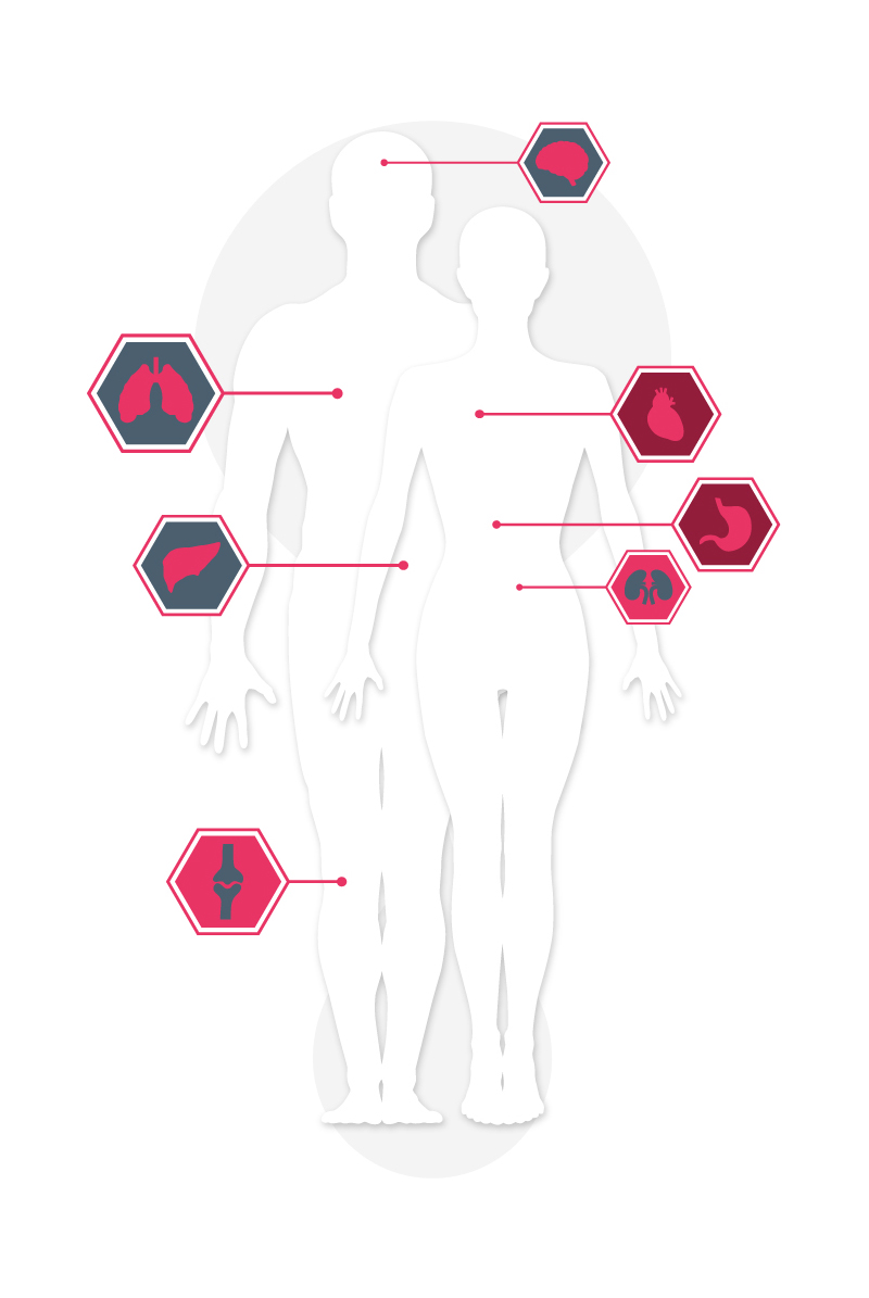 Areas in the human body that stem cells can treat