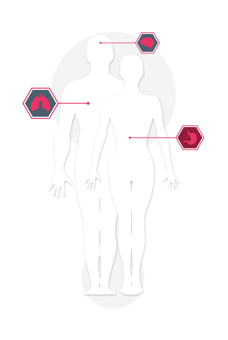 Areas in the human body that stem cells can treat