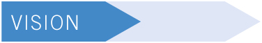 Standard Vision NIPT test package