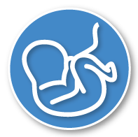 baby icon
