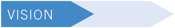 Vision NIPT test package