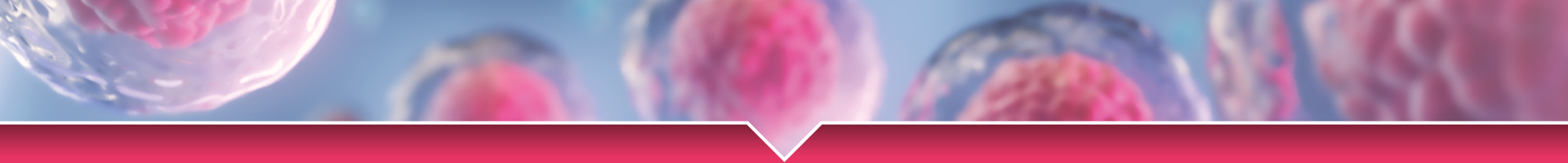 NEWS-HUB-IMAGES-1920x200pxl-3