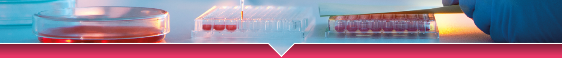 NEWS-HUB-IMAGES-1920x200pxl-6