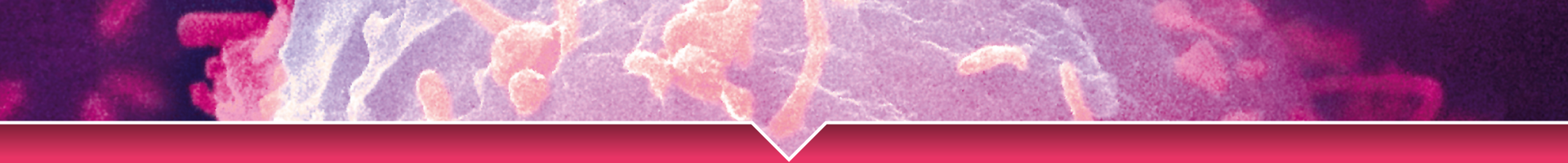 NEWS-HUB-IMAGES-1920x200pxl-9