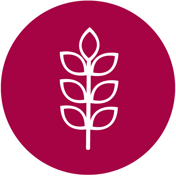 coeliac-icon